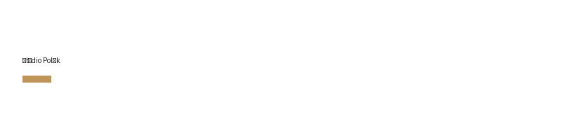Štúdio Polák logo